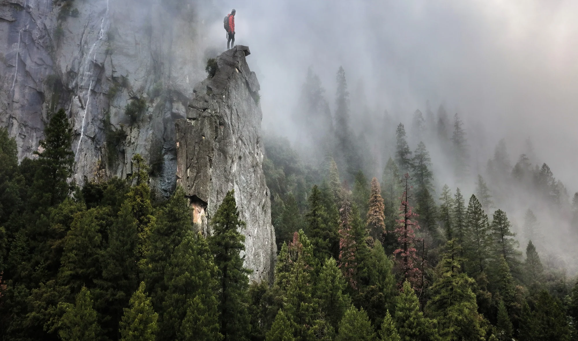 A granite cliff and forest emerging through low clouds